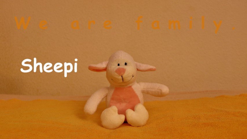 Sheepi.JPG
