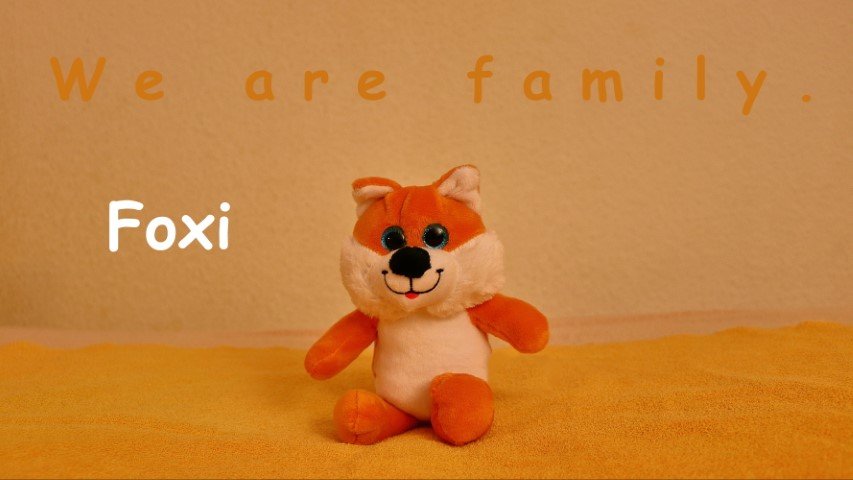 Foxi.JPG